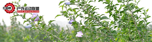 2012071525.jpg
