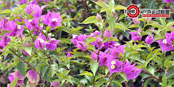 2012071617.JPG