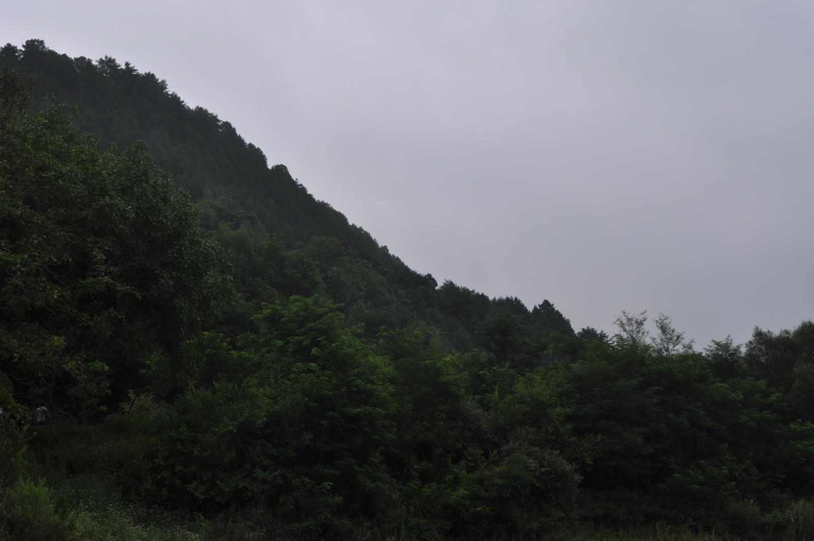 11b.jpg