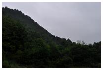 11b.jpg