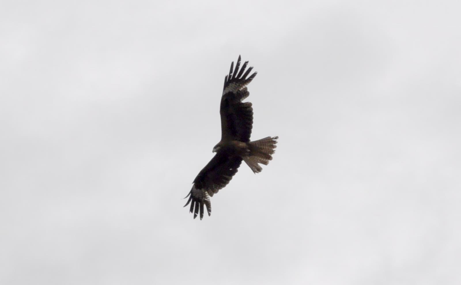 dsc_3890.jpg