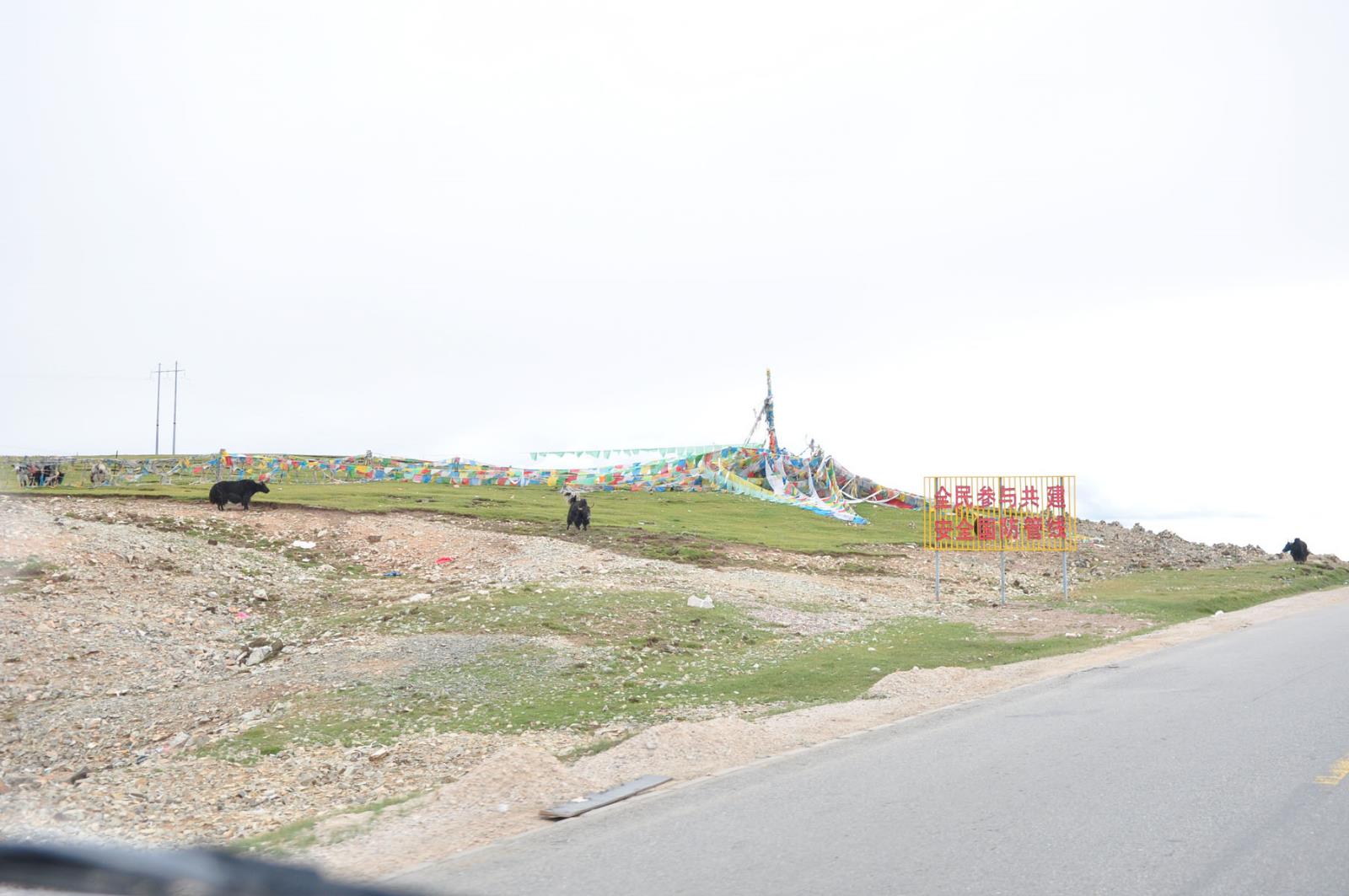 16a.jpg